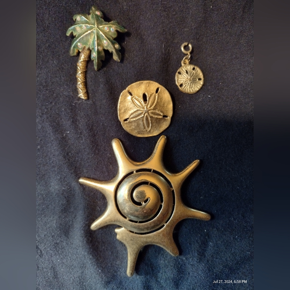 Beach brooches